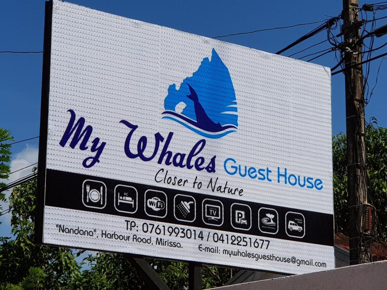 My Whales Guest House Bandaramulla エクステリア 写真