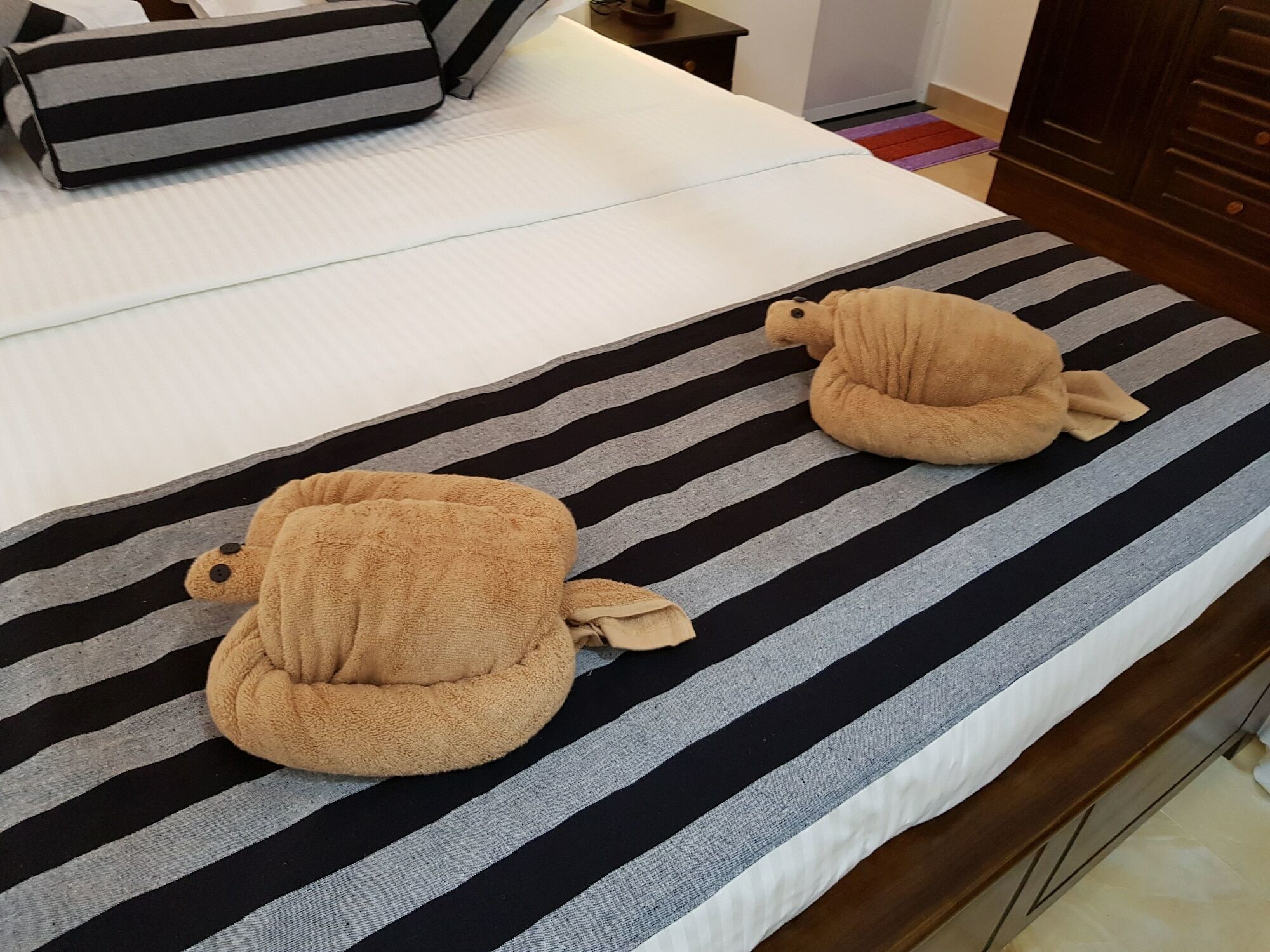 My Whales Guest House Bandaramulla エクステリア 写真
